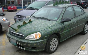 Stegosaurus Car